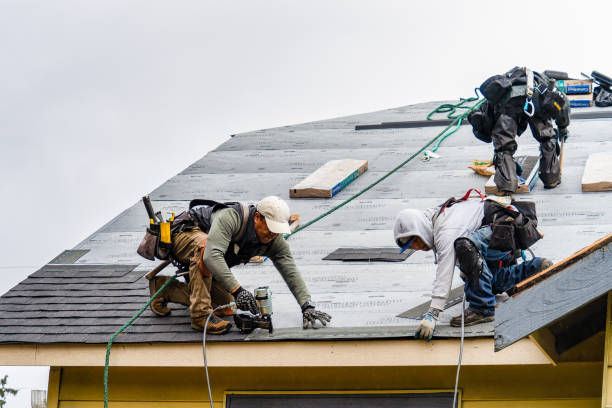 Professional Roof Replacement technician working in Hamilton, MI