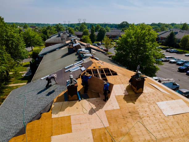 24/7 Emergency Roof Replacement experts in Hamilton, MI